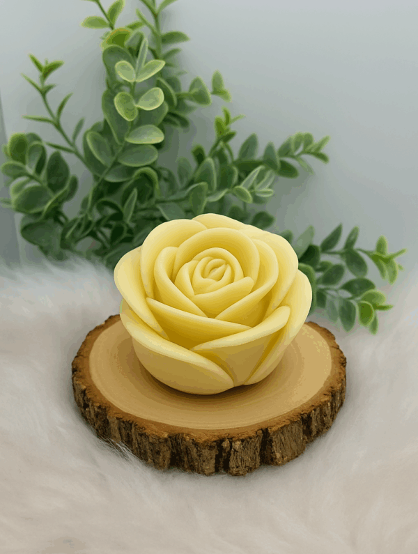 Rose Eternelle