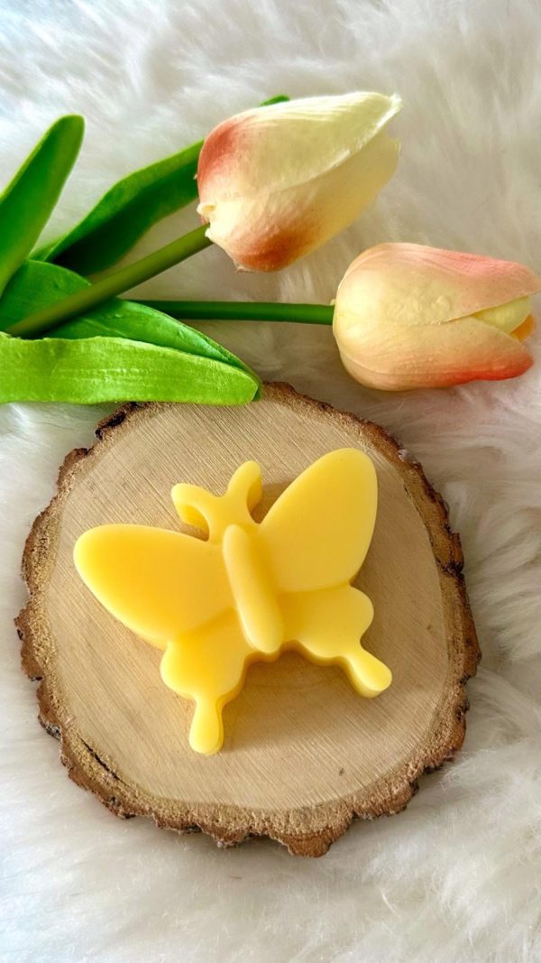 Fondant papillon 5 €
