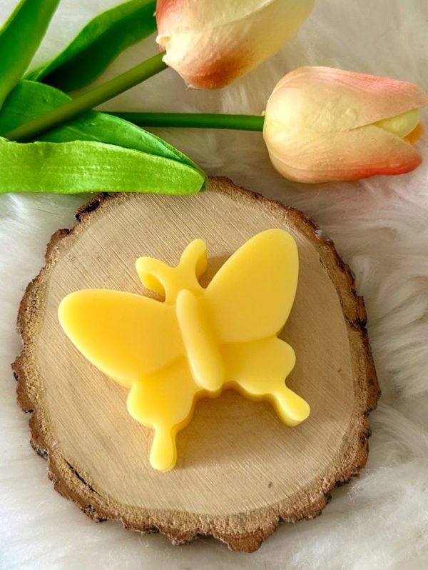 Fondant papillon 5 €
