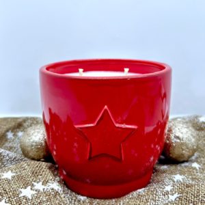 Etoile de Noël 450 gr