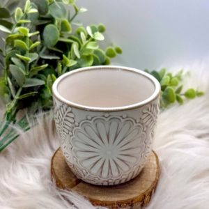 Dahlia Crème 160 gr
